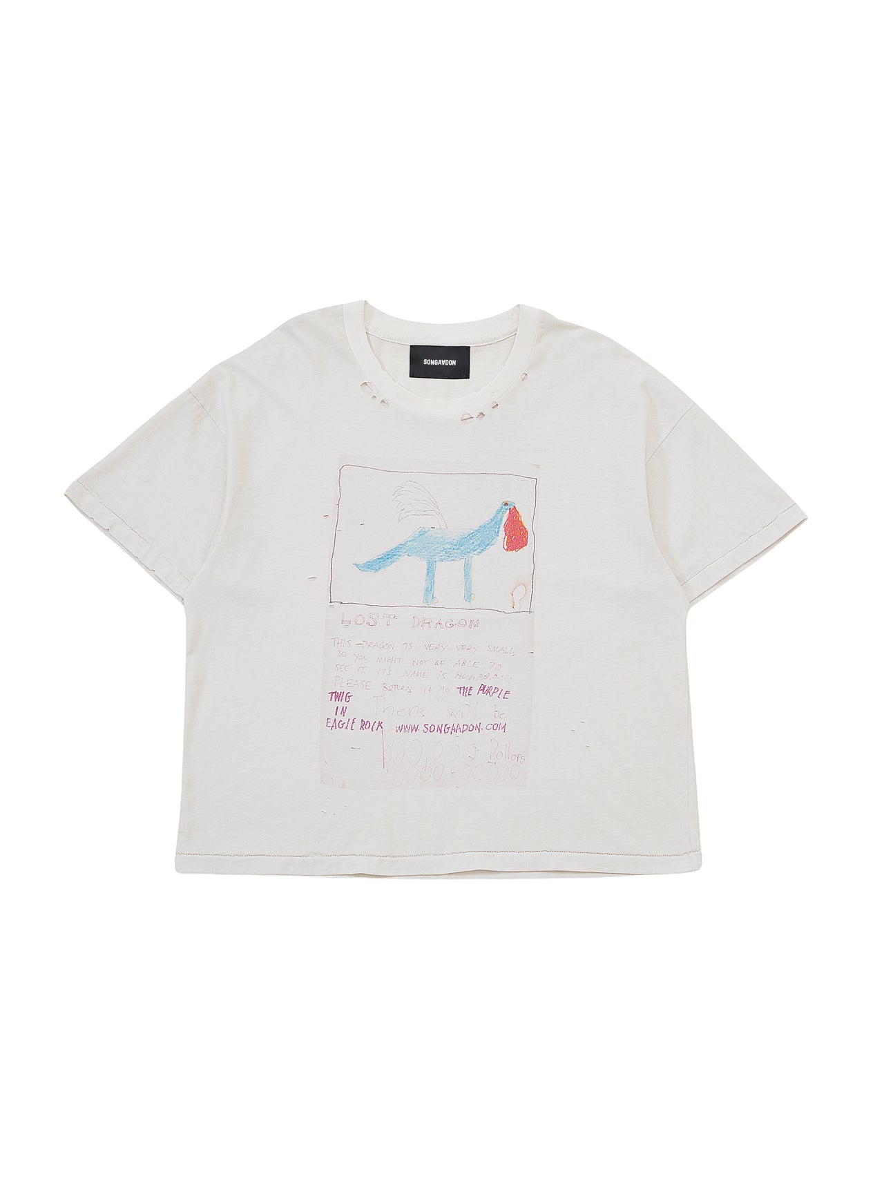 Little Dinosaur T-shirt
